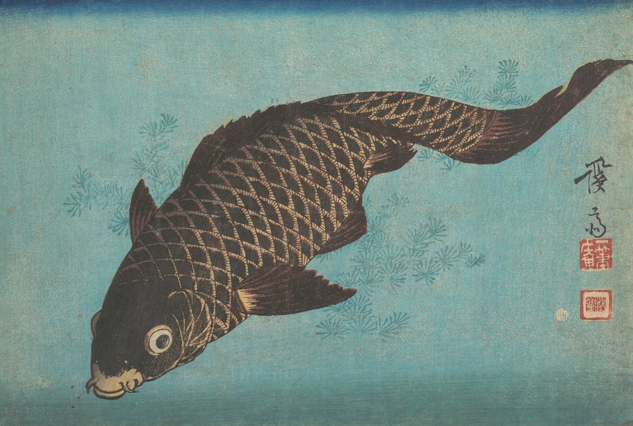 Koi - Ikeda Eisen