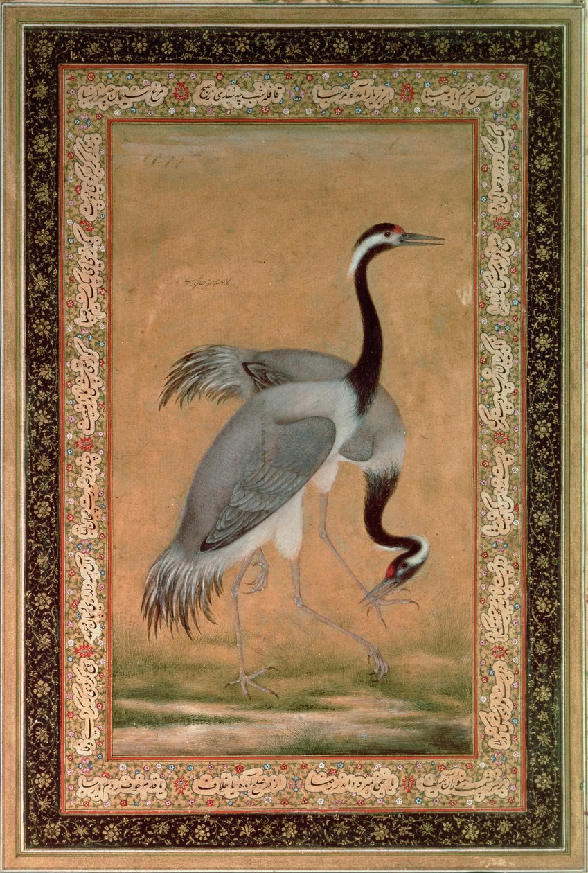Grues de Mansur, Période Jahangir, Mughal - Indian School