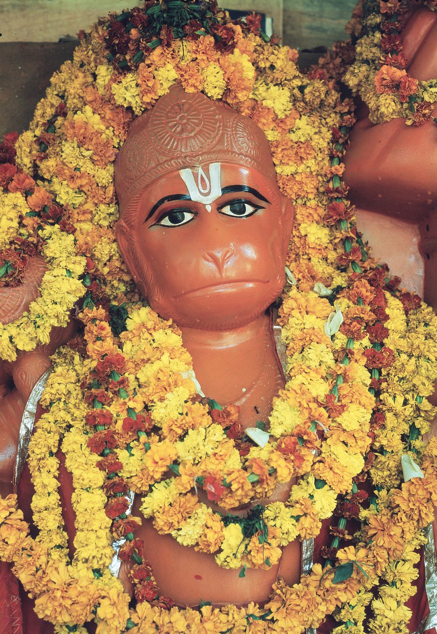 Hanuman, le dieu singe - Indian School