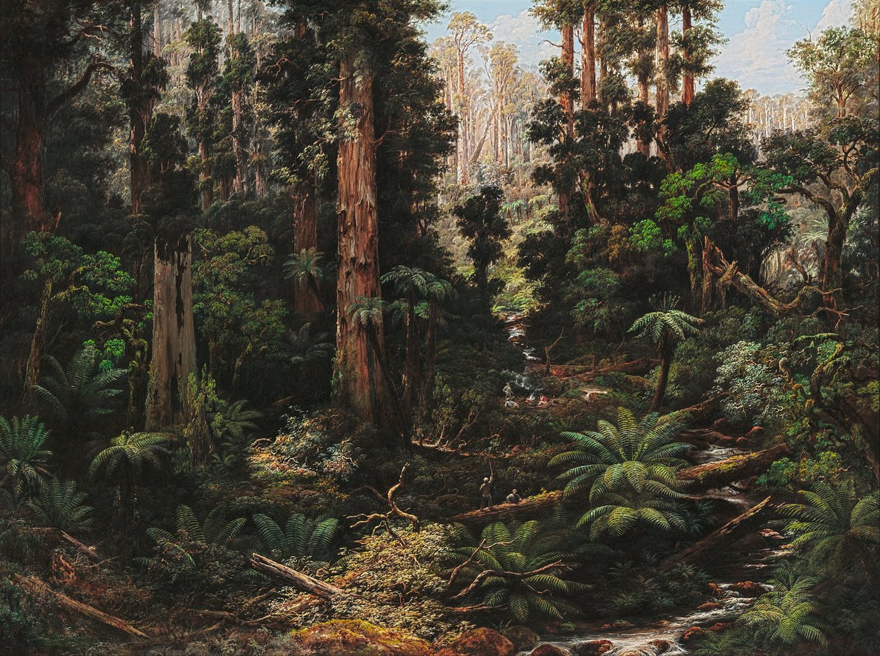 Dans la vallée de Sassafras, Victoria - Isaac Whitehead