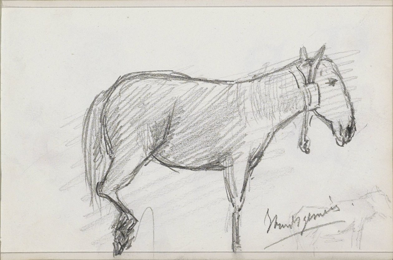 Cheval - Isaac Gosschalk