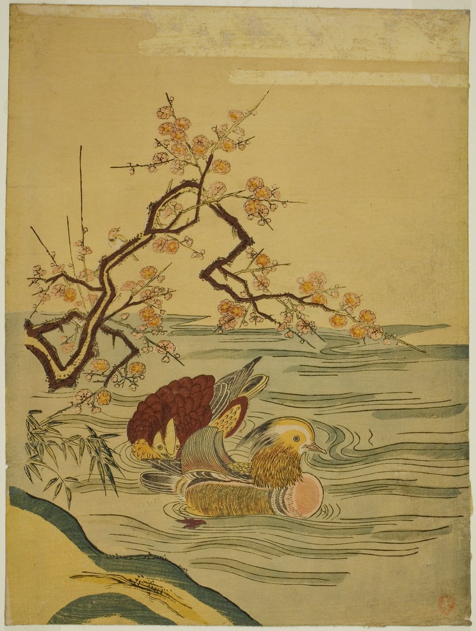 Canards mandarins nageant sous une branche de prunier - Isoda Koryusai