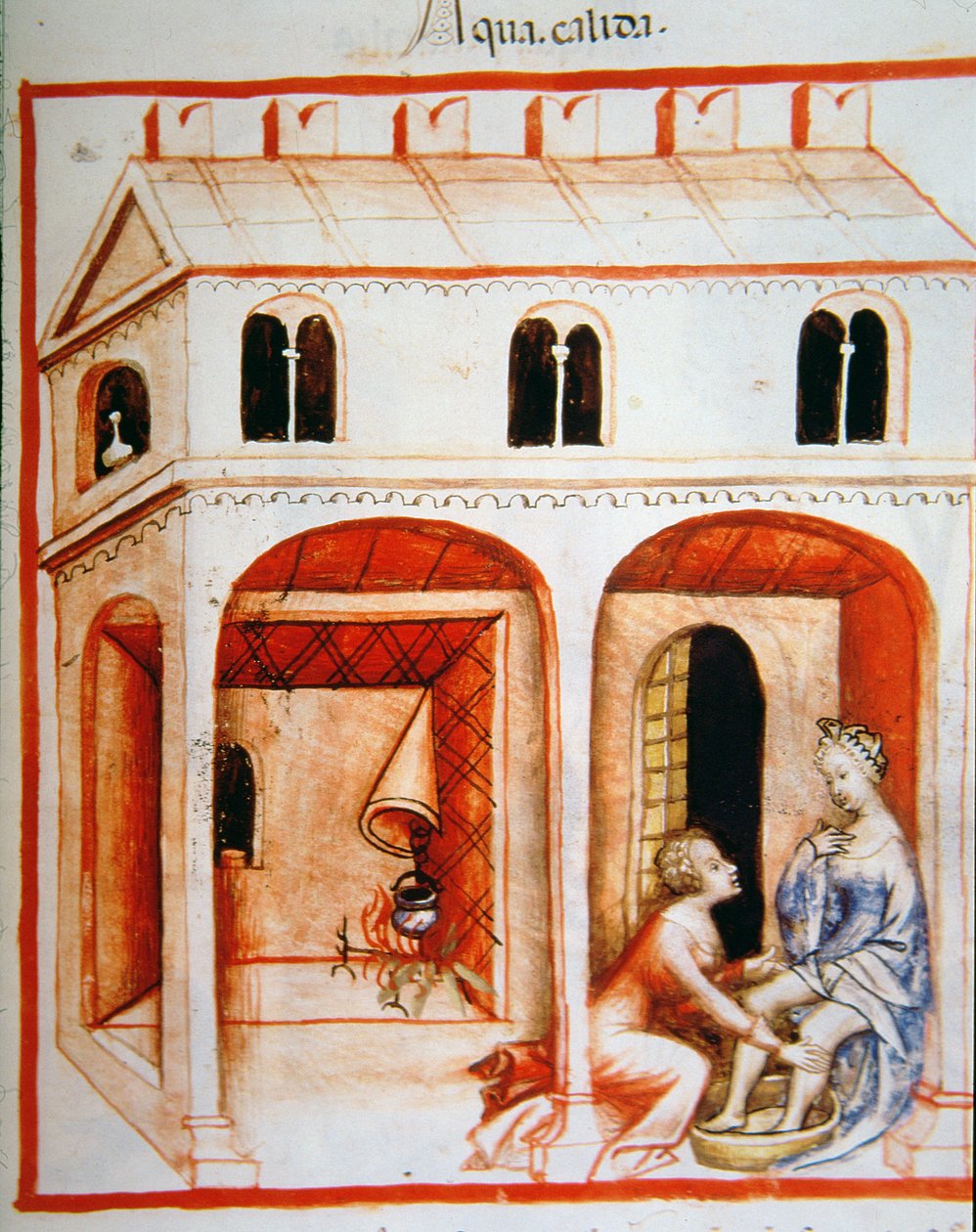 Eau chaude, illustration du Tacuinum Sanitatis Codex Vindobonensis - Italian School