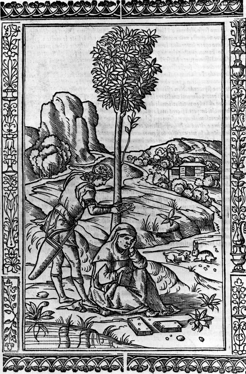 Frontispice pour un livre de poèmes de Francesco Petrarch - Italian School