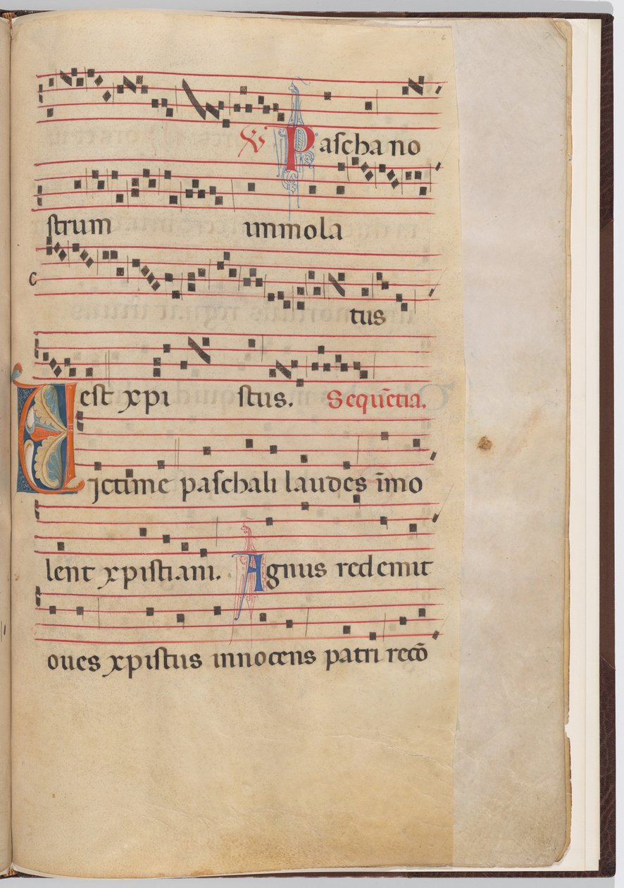 Feuille 6 d