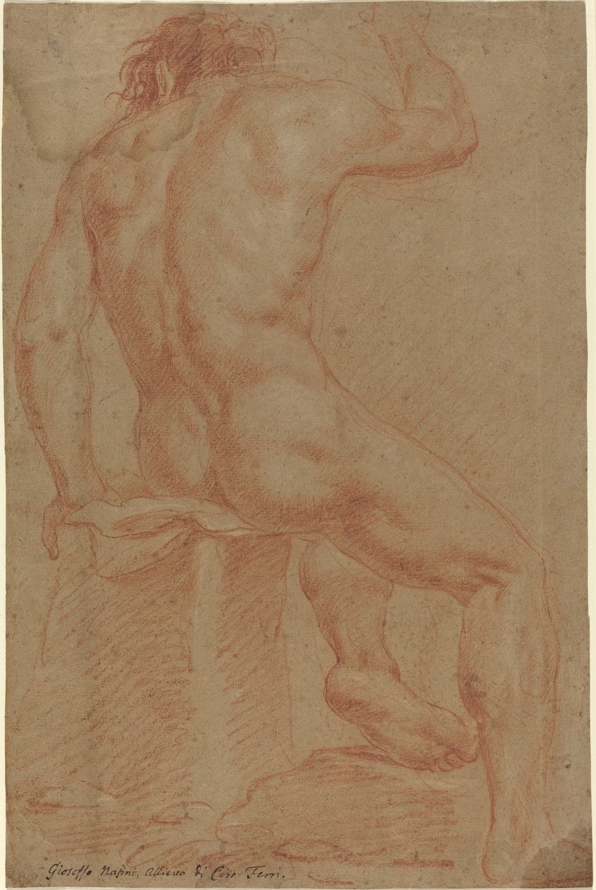 Figure masculine nue (recto) - Italian 17th Century