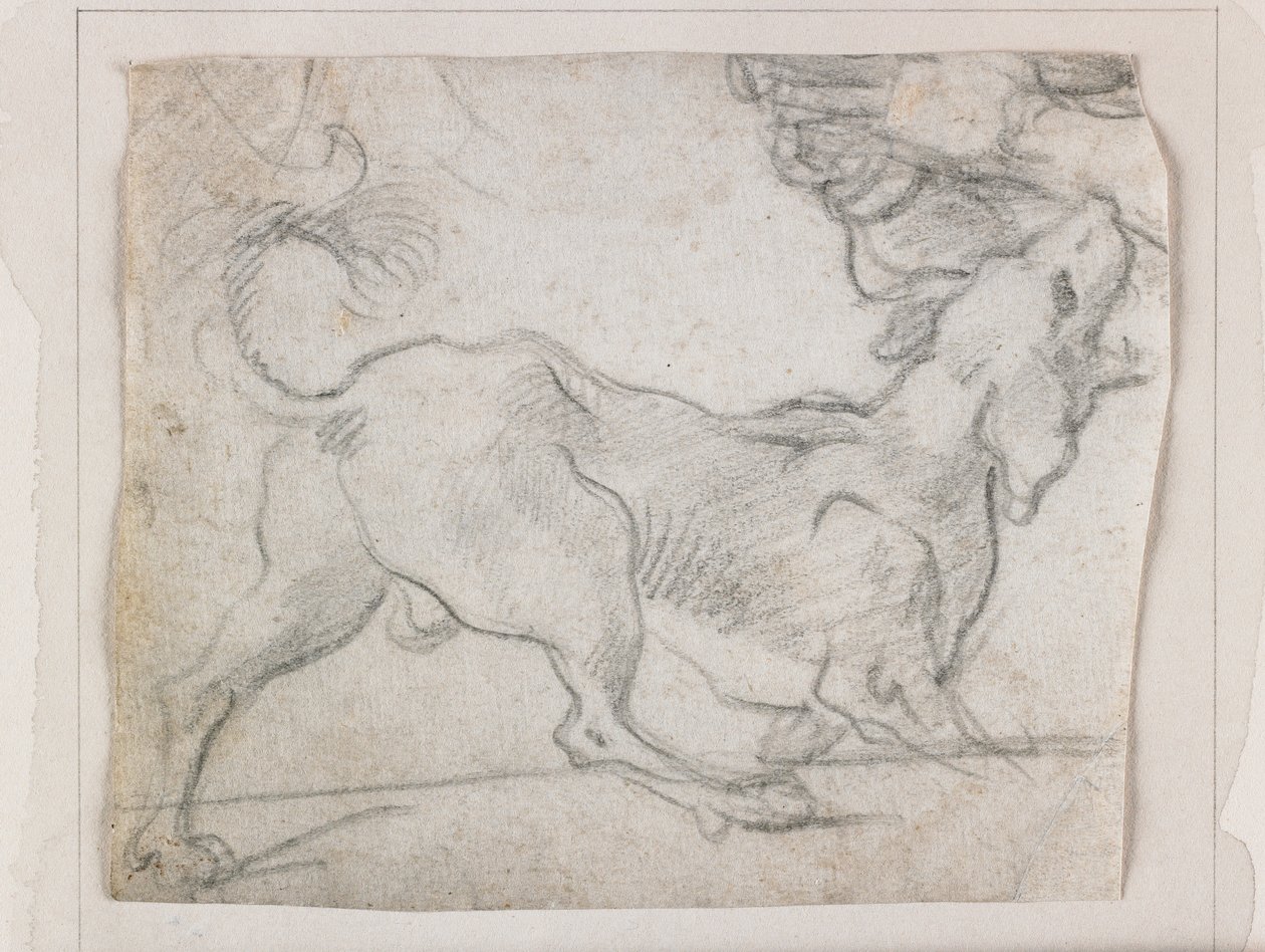 Chien aboyant, vu de derrière - Italian School