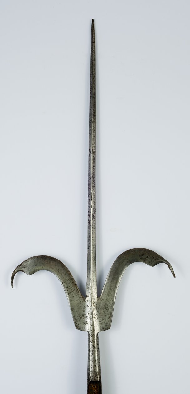 Lance de Friuli, c.1600 - Italian School