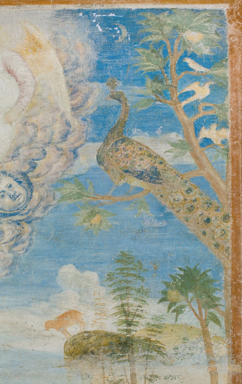 Paon (détail) - Italian School