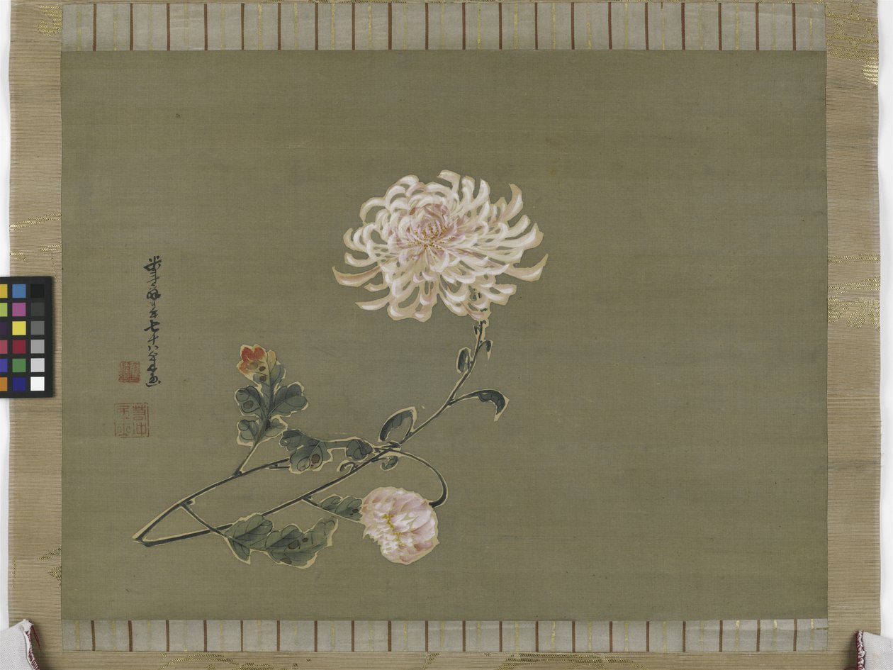Chrysanthème - Ito Jakuchu