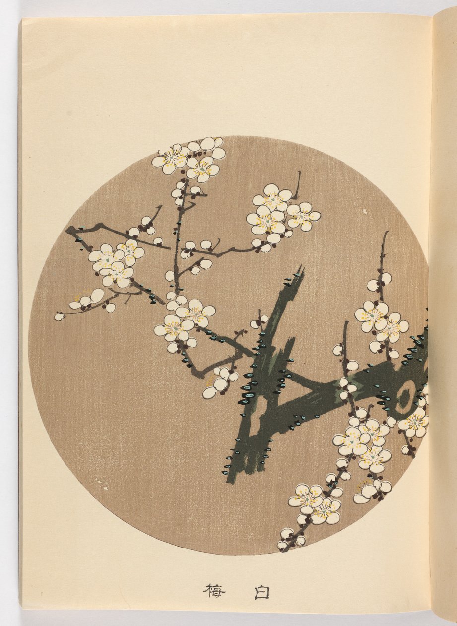 Jakuch? gafu, Ère Meiji, 1908 - Ito Jakuchu
