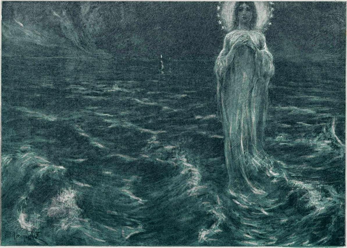 Étoile de mer - Ivan Vavpotic