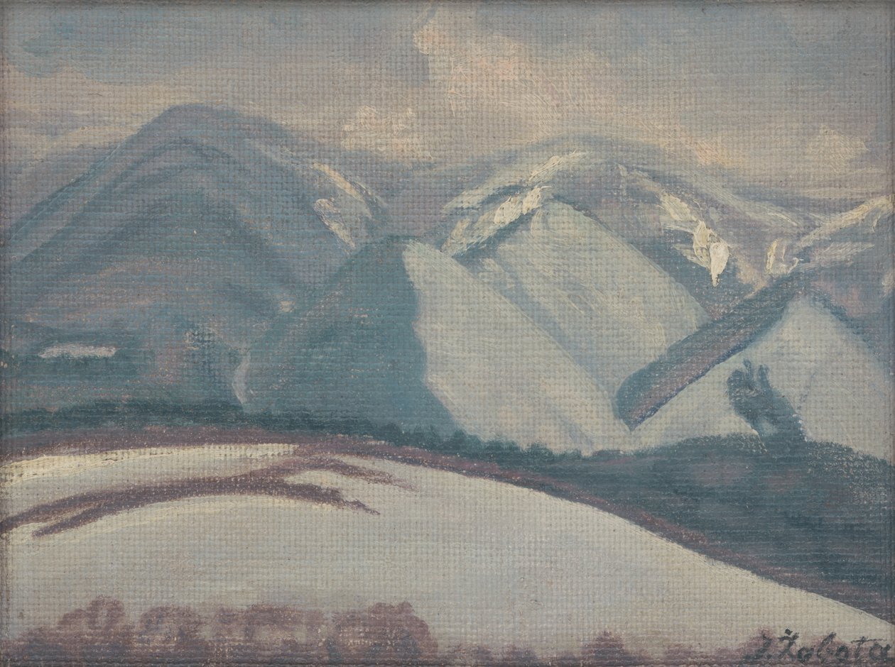 Montagnes enneigées - Ivan Zabota