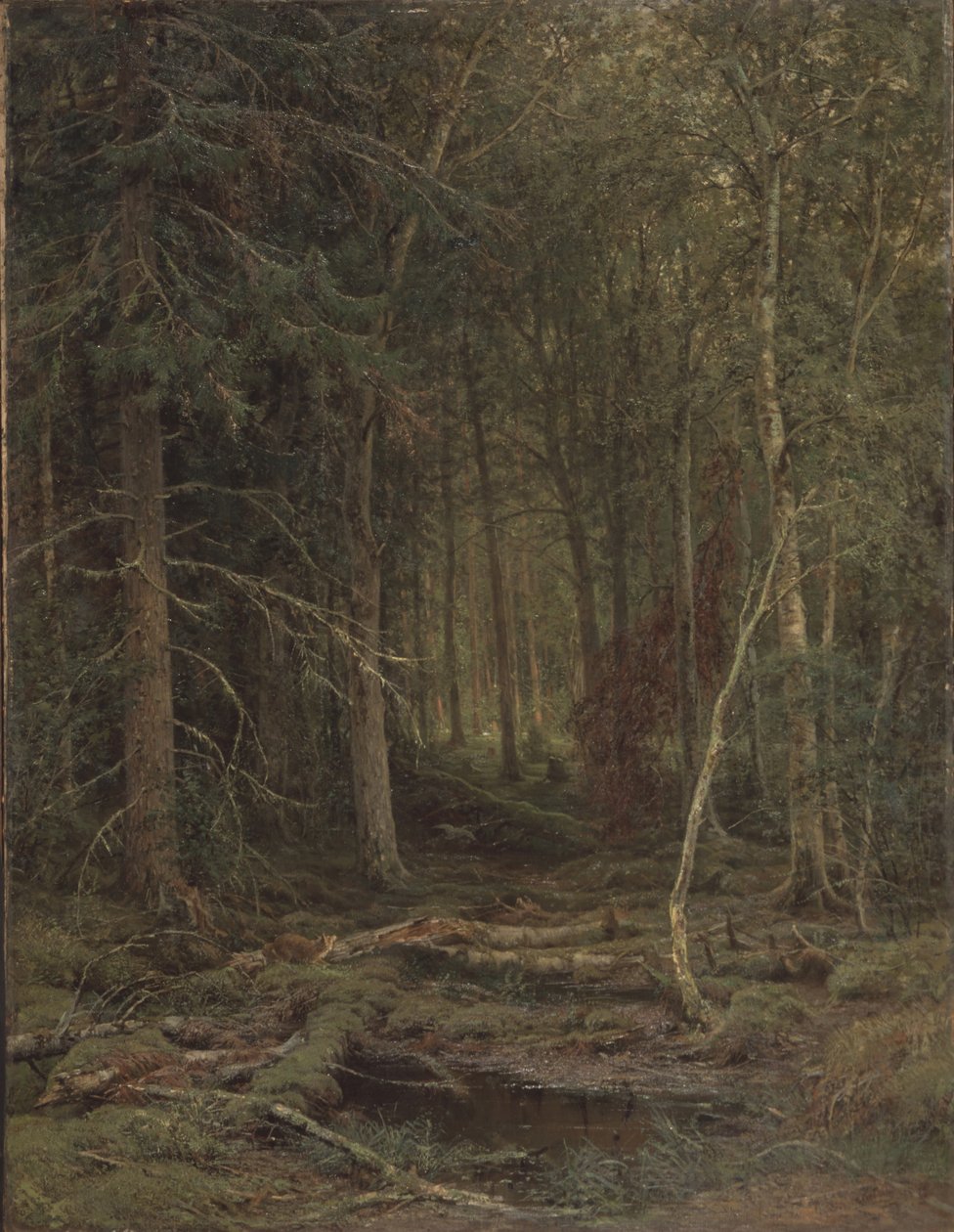 Arrière-pays - Ivan Ivanovich Shishkin