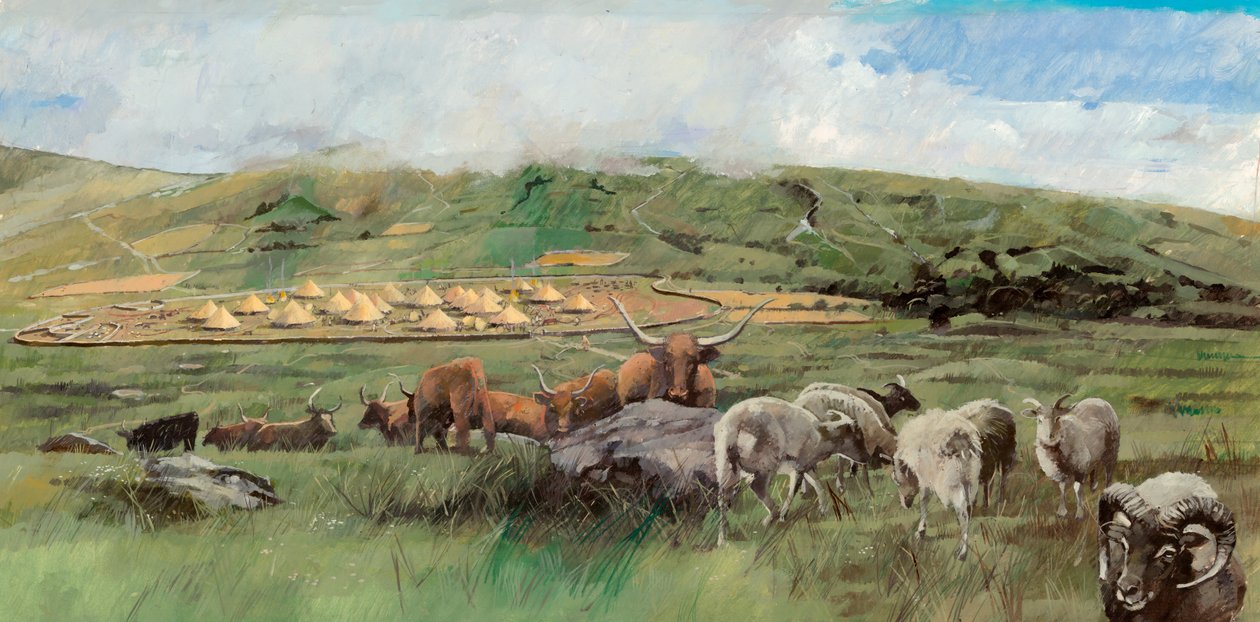 Grimspound, Âge du Bronze - Ivan Lapper
