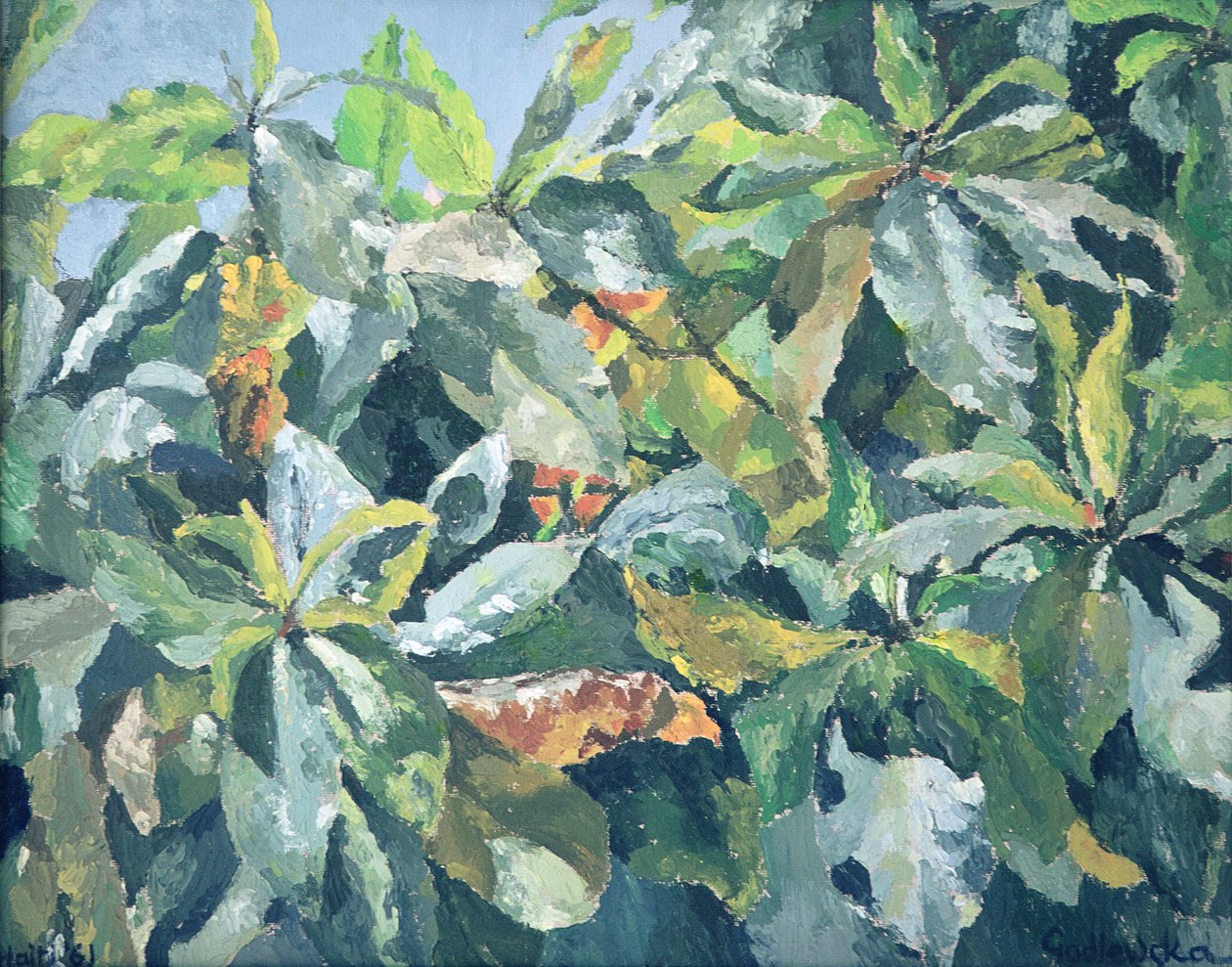 Plantes, 1961 - Izabella Godlewska de Aranda