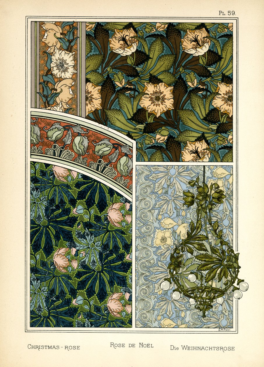 La rose de Noël - J. Milesi