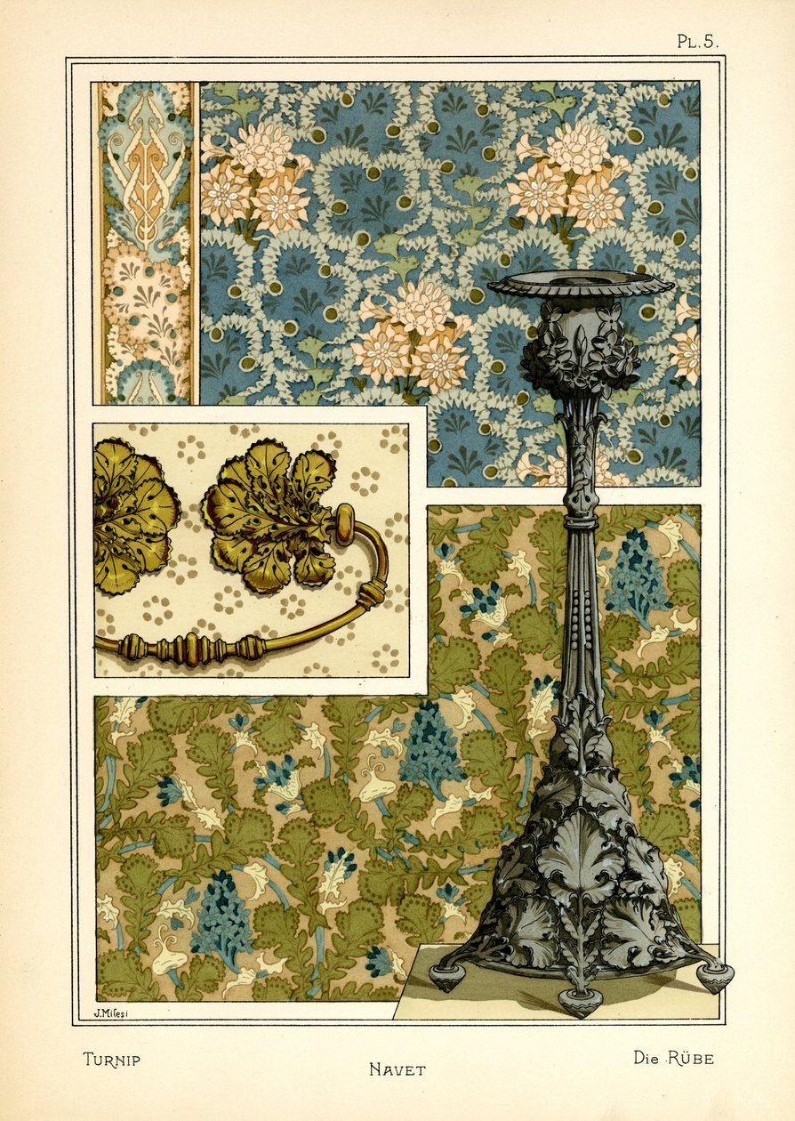 Le navet - J. Milesi