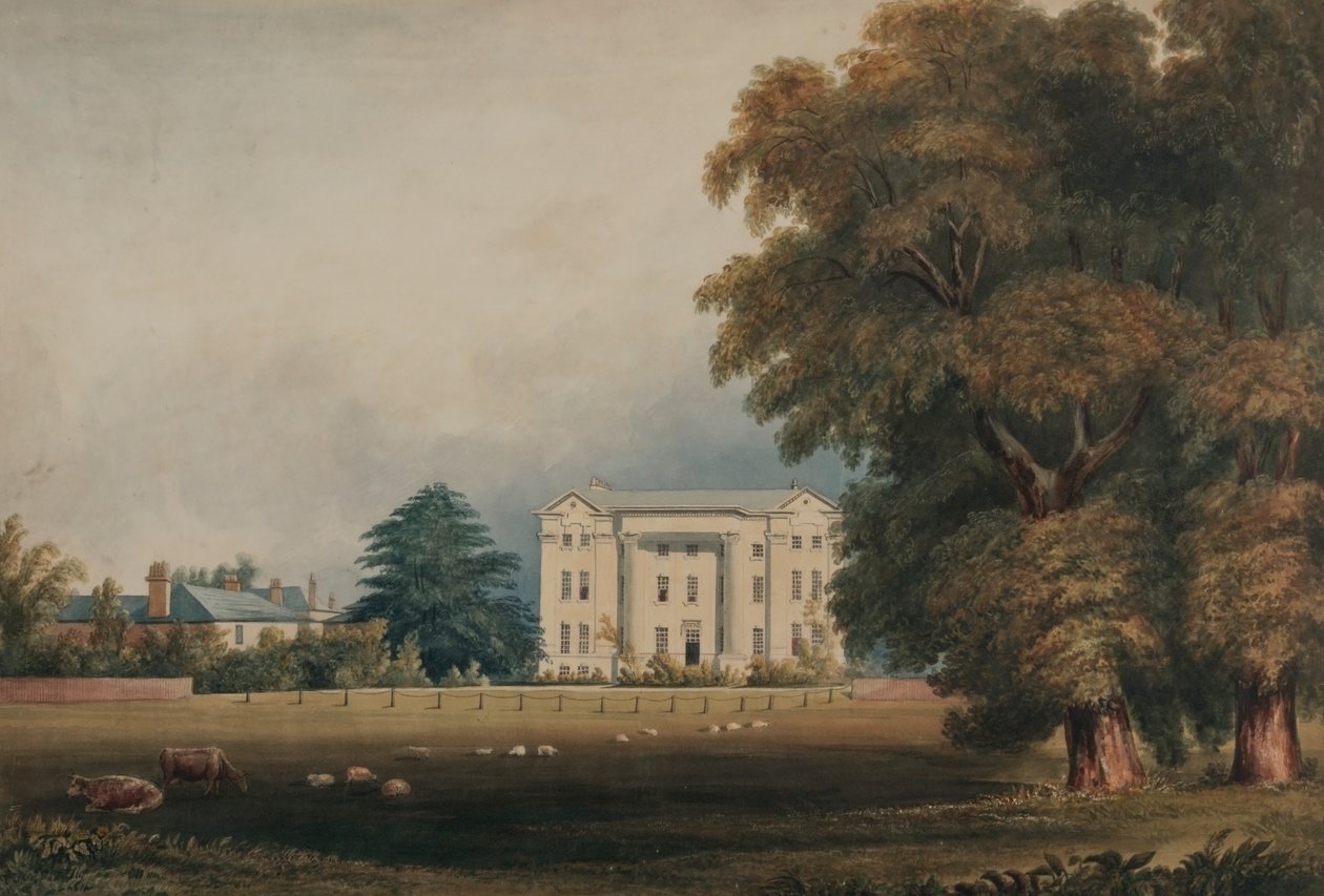 Collège d