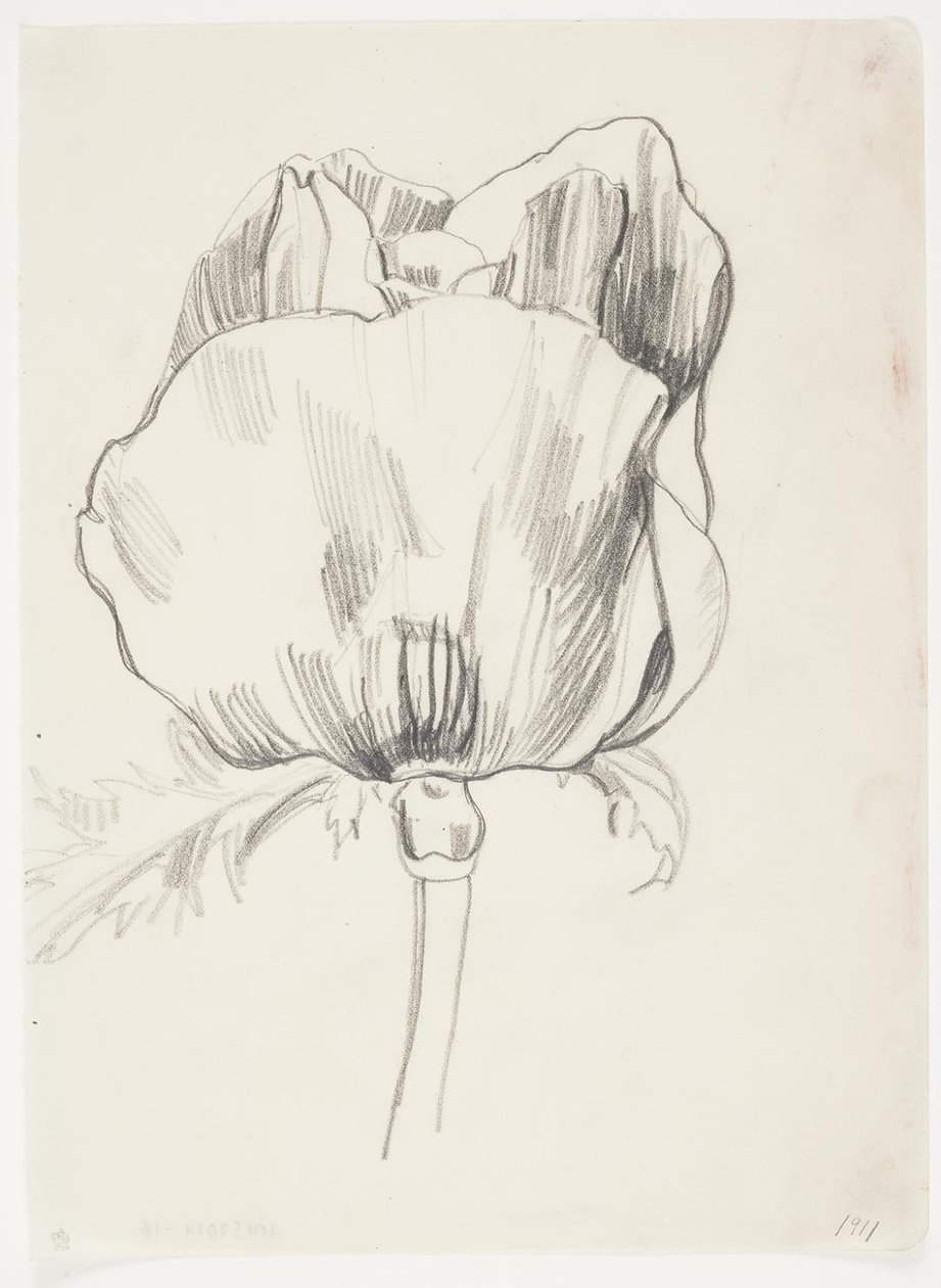 Coquelicot - J.A. Jerichau
