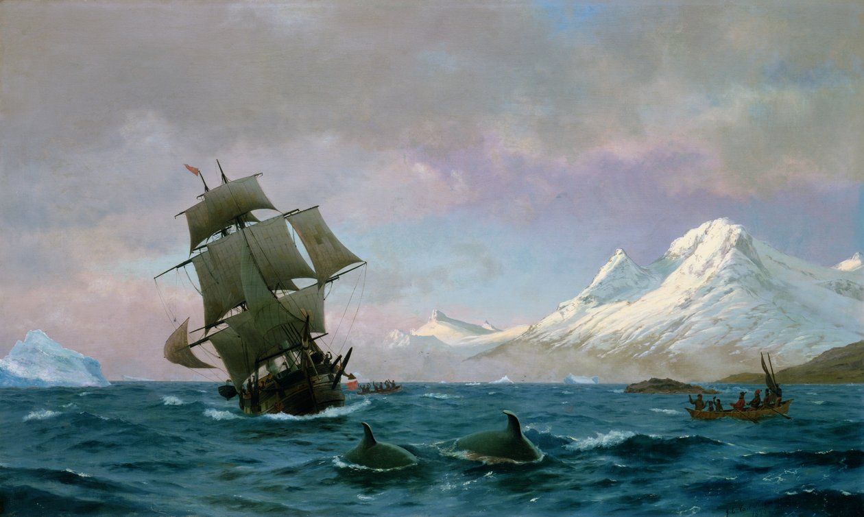 Chasse à la baleine, 1875 - J.E. Carl Rasmussen