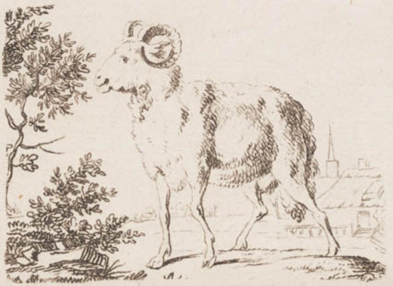 Un bélier - J.F. Clemens