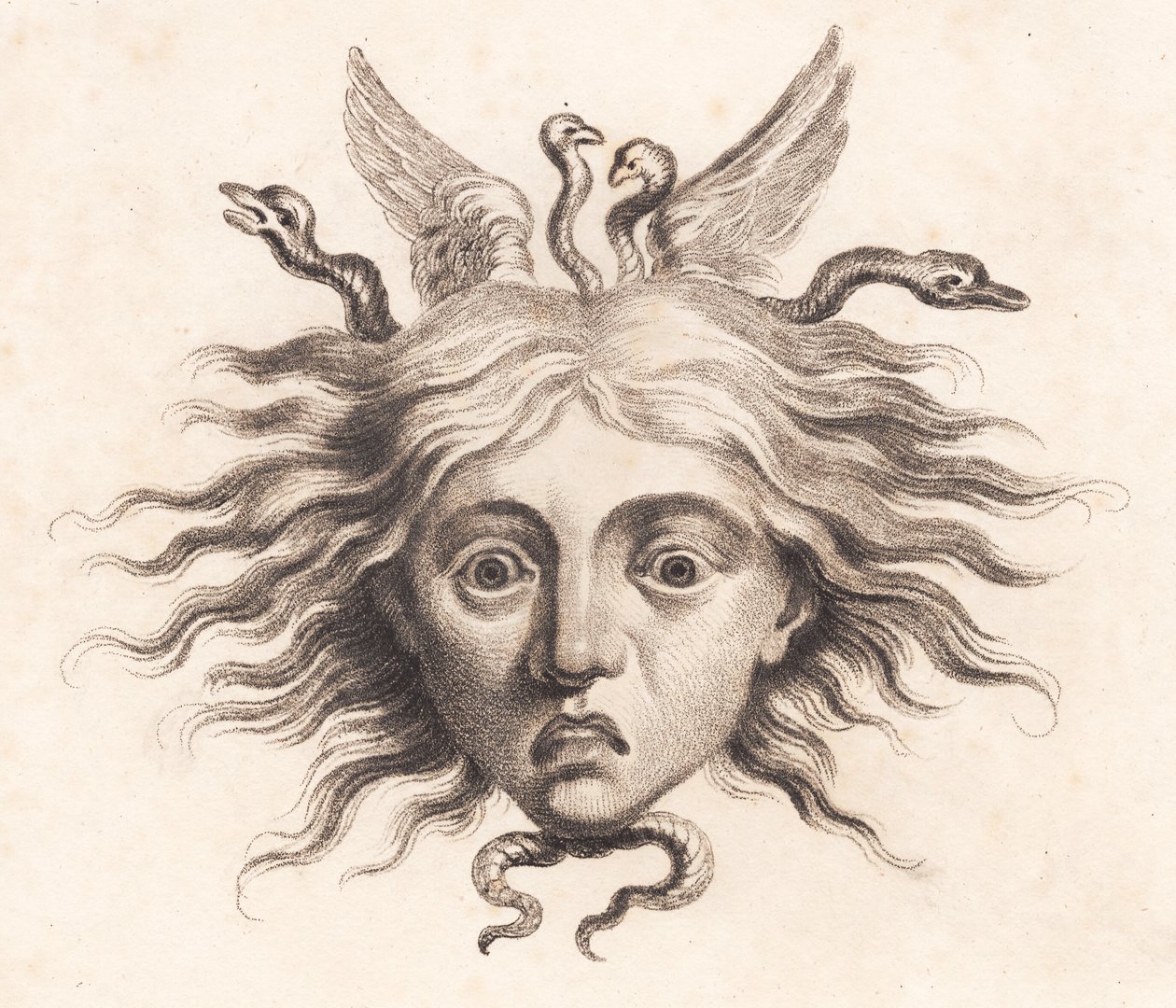 Tête de Méduse - J.F. Clemens