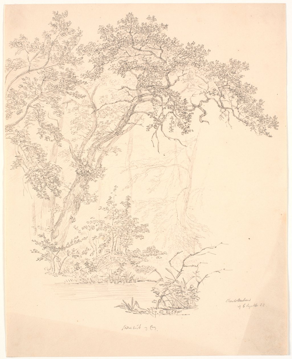 Arbres - J.P. Møller