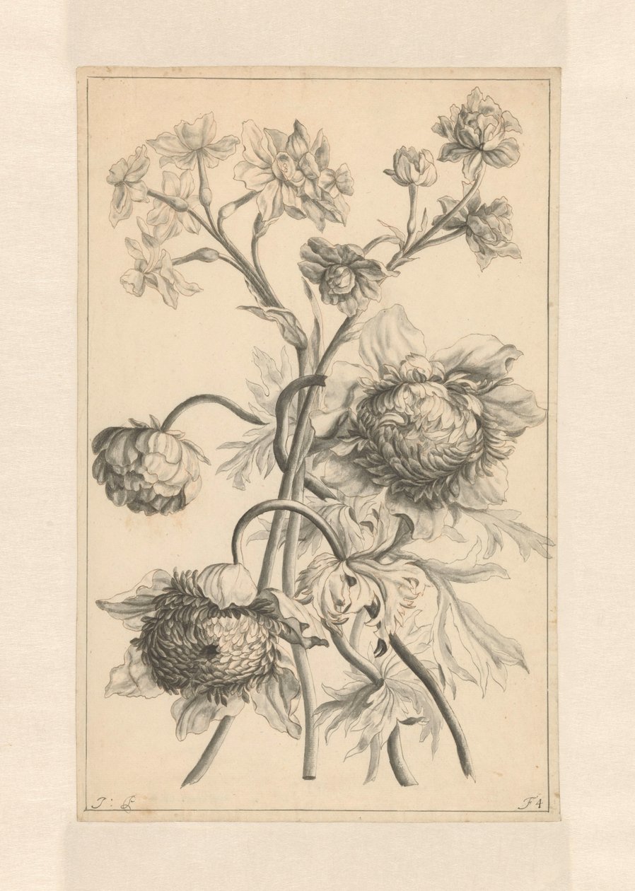 Deux branches avec une pivoine - J. Porteret