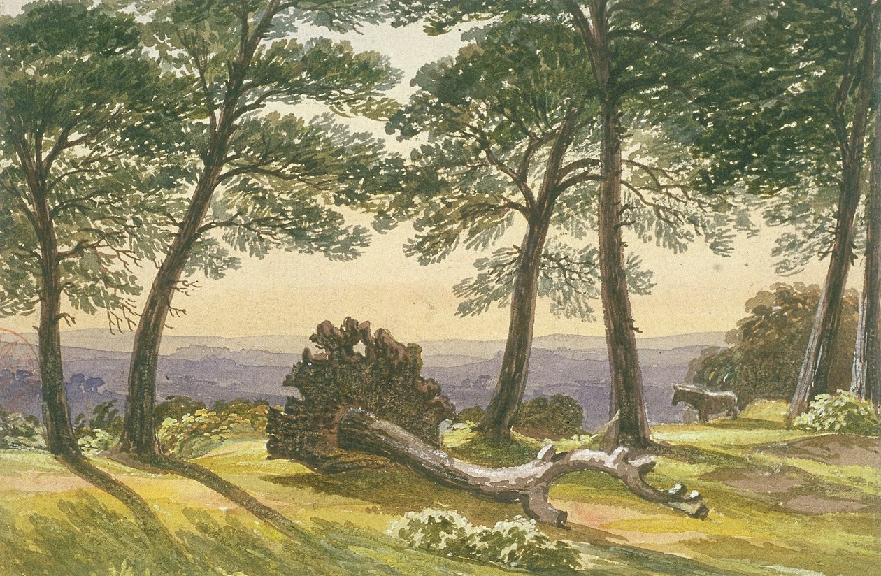 Hampstead Heath, Londres, vers 1830 - J Powell