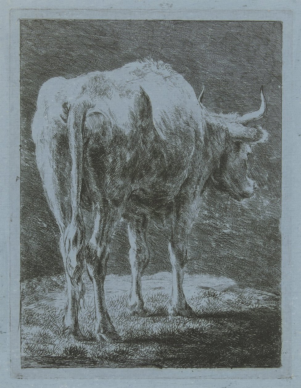 Vache dans un paysage - Jabes Heenck