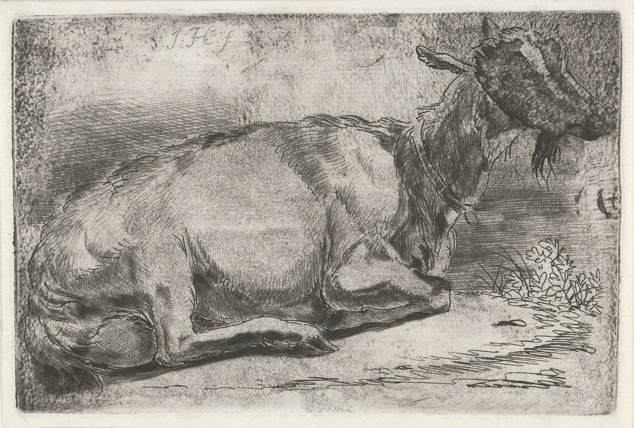 Chèvre couchée - Jabes Heenck