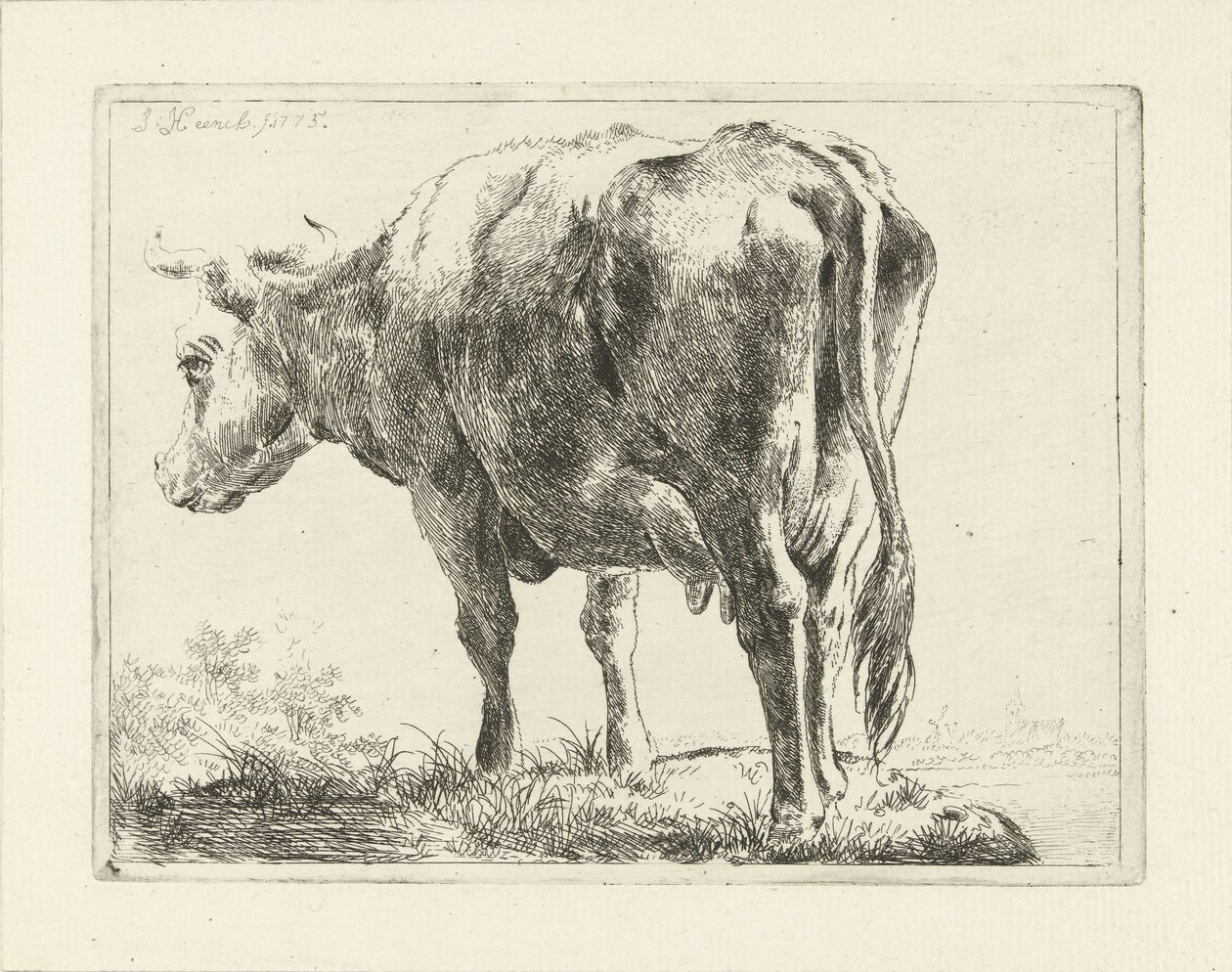 Vache debout - Jabes Heenck
