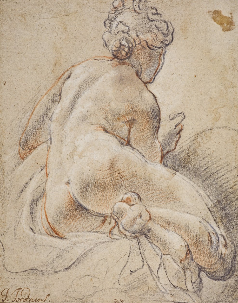 Nu féminin, vu de dos - Jacob Jordaens