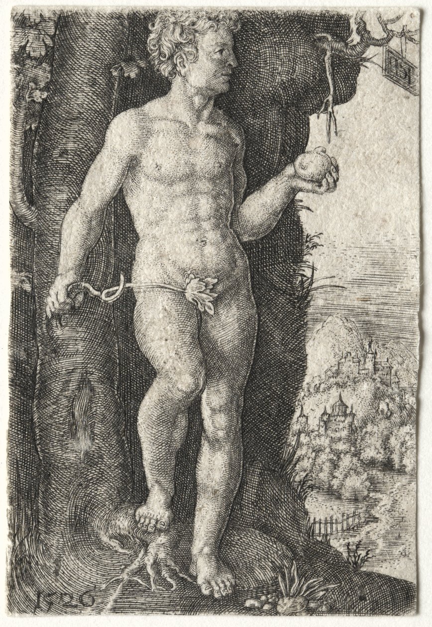 Adam - Jacob Binck