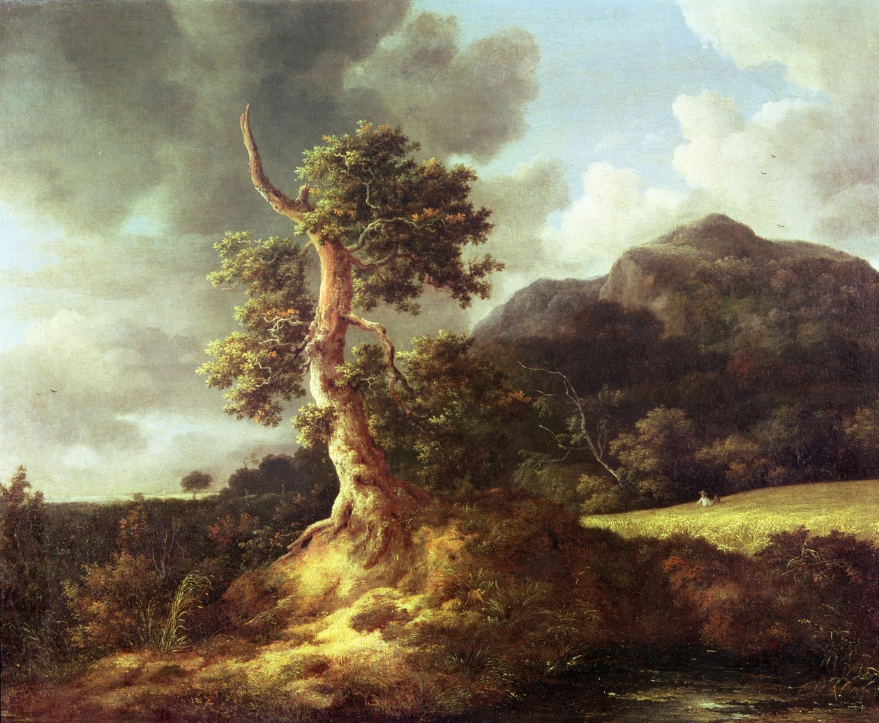 Image inconnue - Jacob van Ruisdael