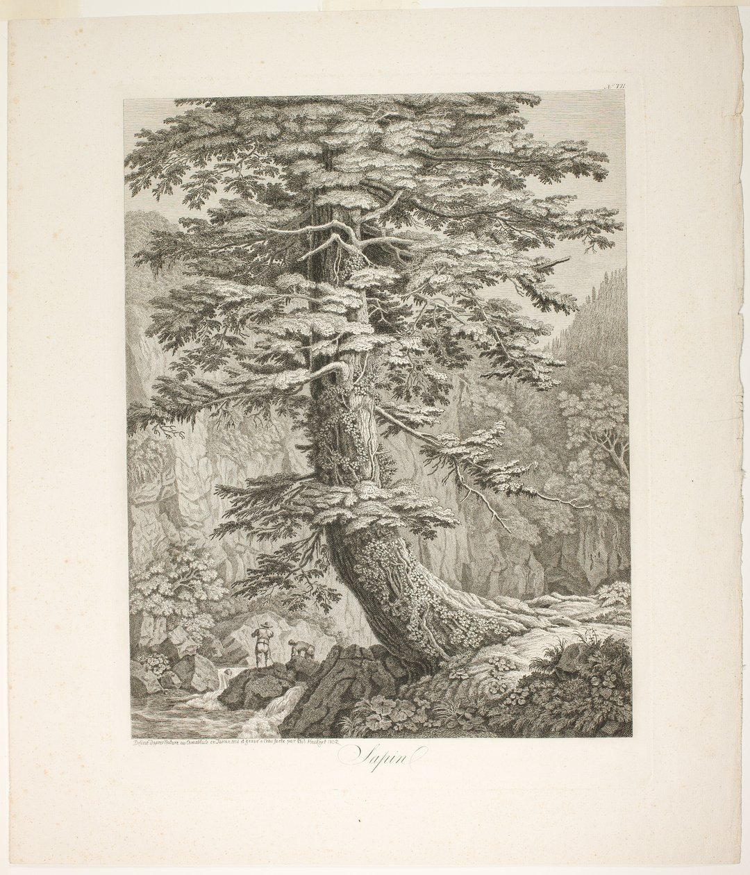 Sapin - Jacob Philipp Hackert