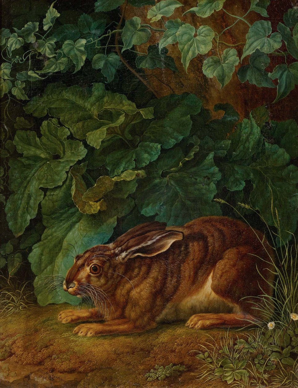 French : Lapin dans les buissons - Jacob Philipp Hackert