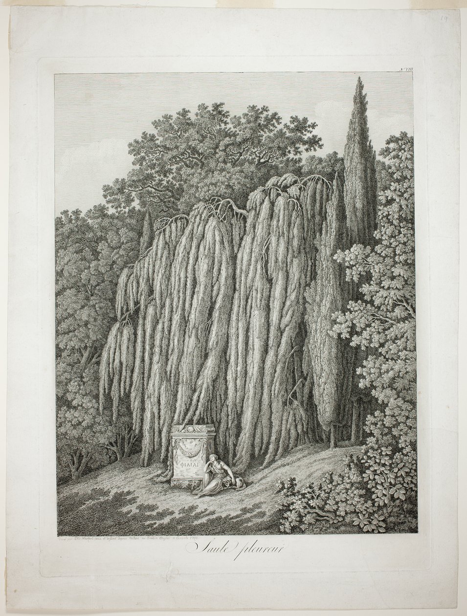 Saule pleureur - Jacob Philipp Hackert