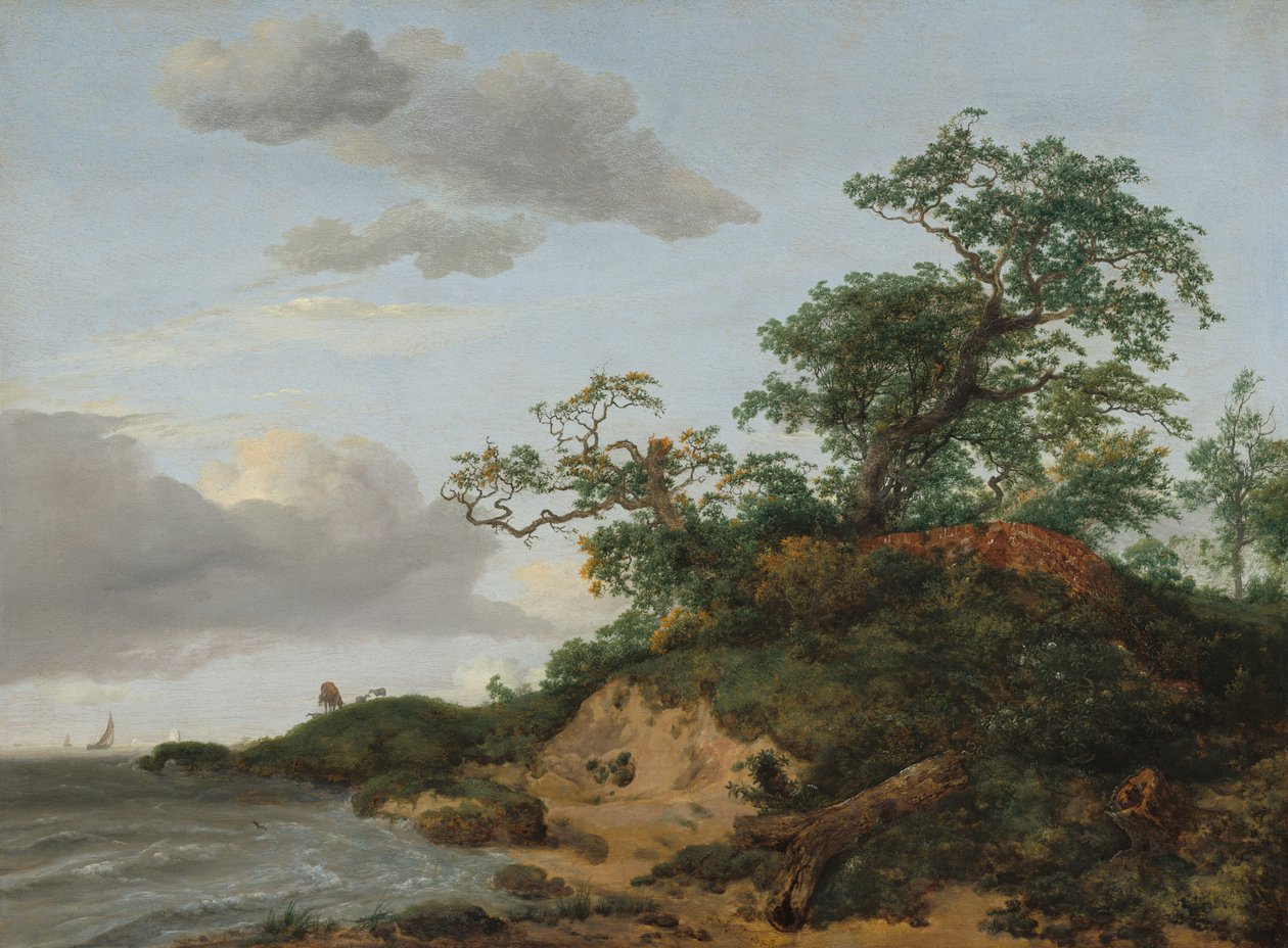 Dunes près de la mer - Jacob van Ruisdael