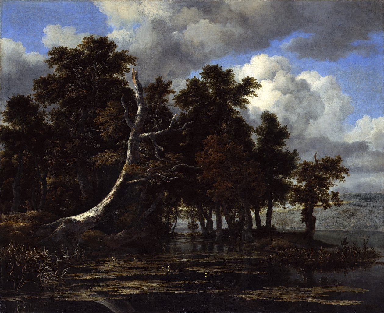 Chênes au bord d