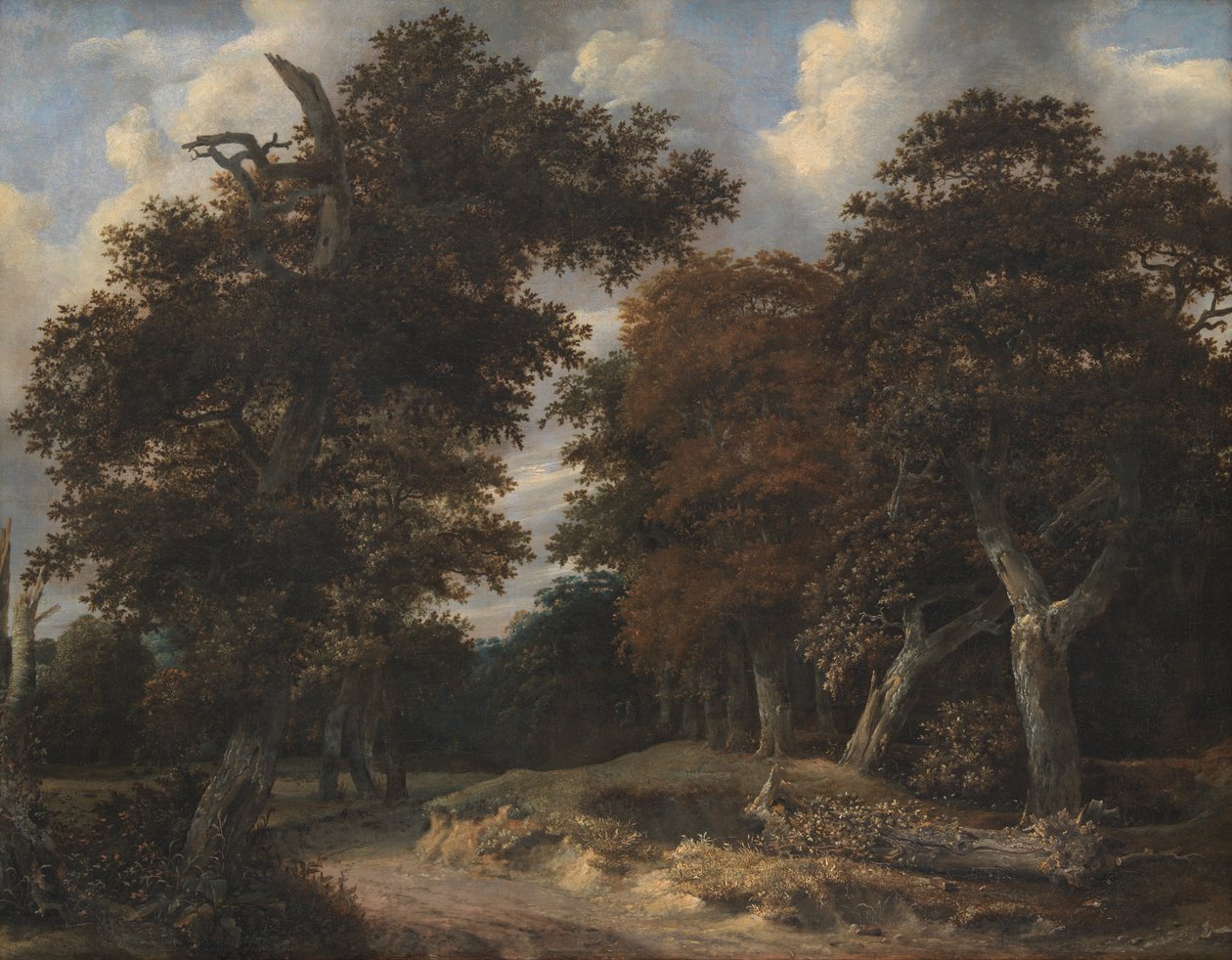 Route à travers une forêt de chênes - Jacob van Ruisdael