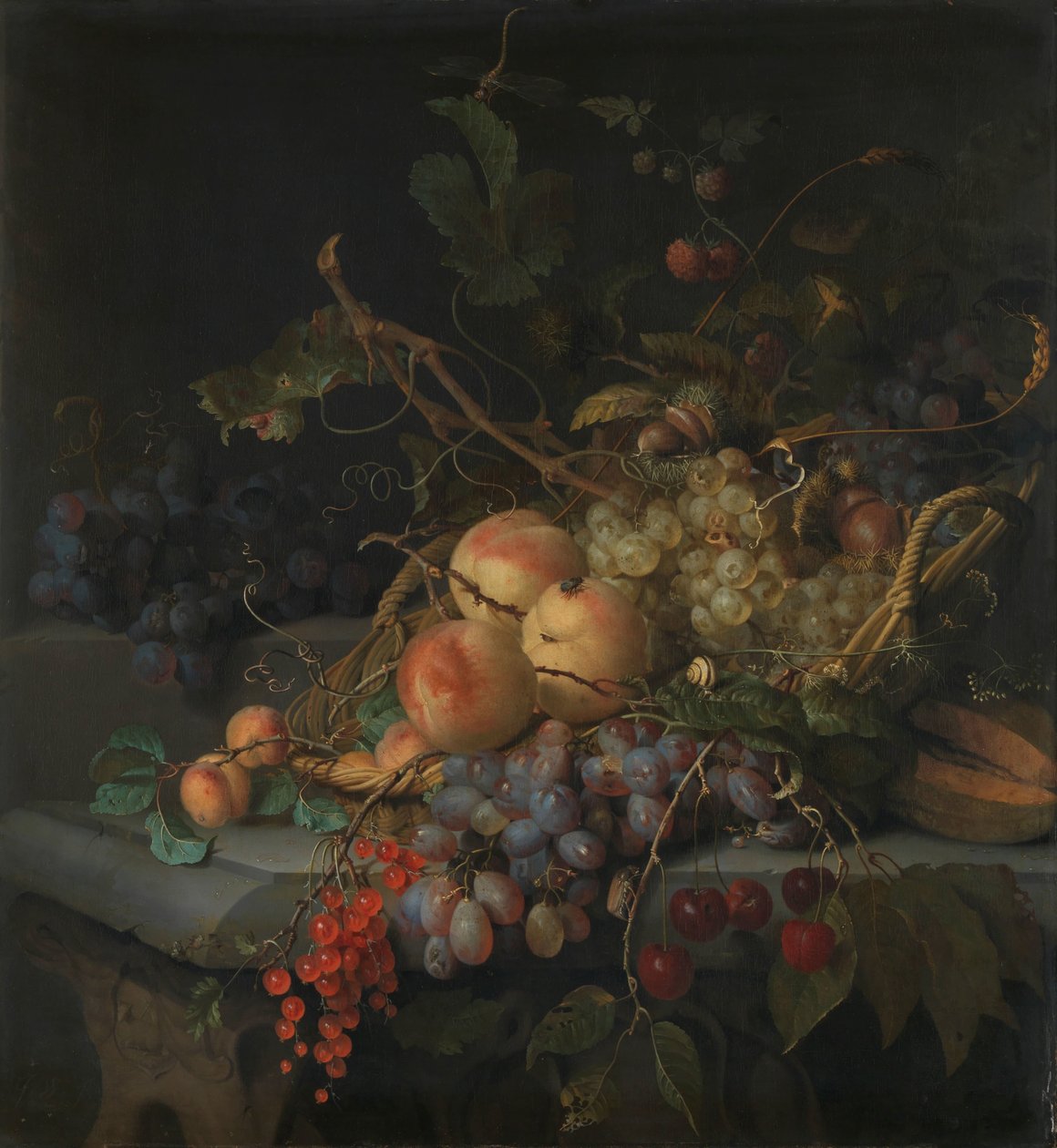 Nature morte avec fruits - Jacob van Walscapelle