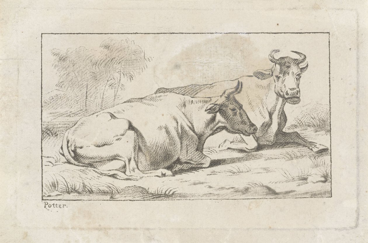 Deux vaches couchées - Jacobus Buys