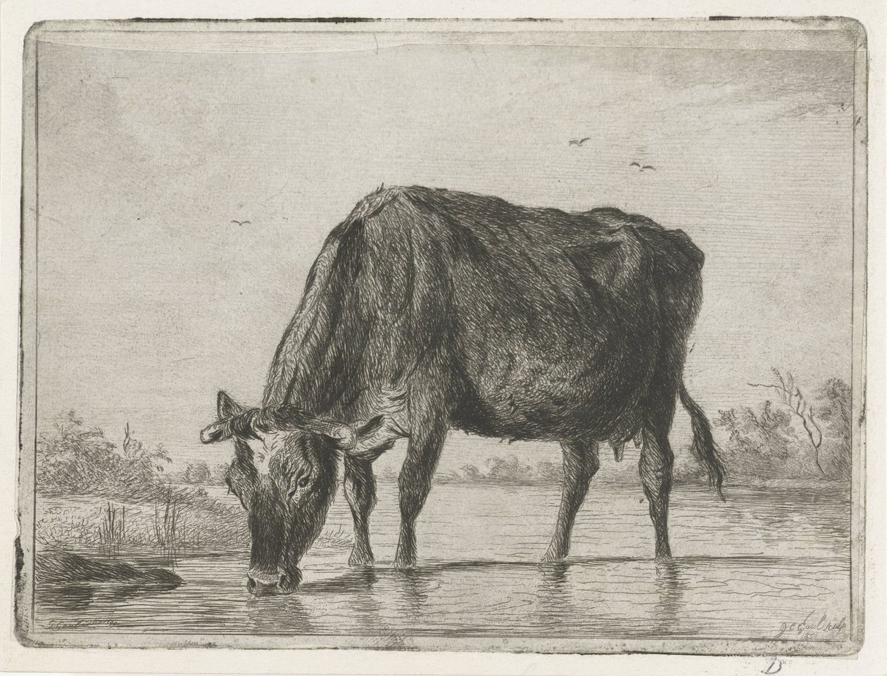 Vache buvant - Jacobus Cornelis Gaal