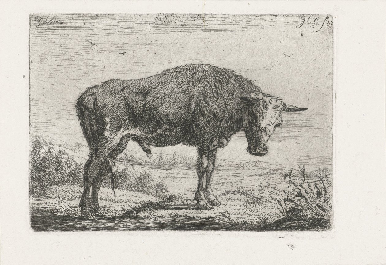 Taureau debout - Jacobus Cornelis Gaal