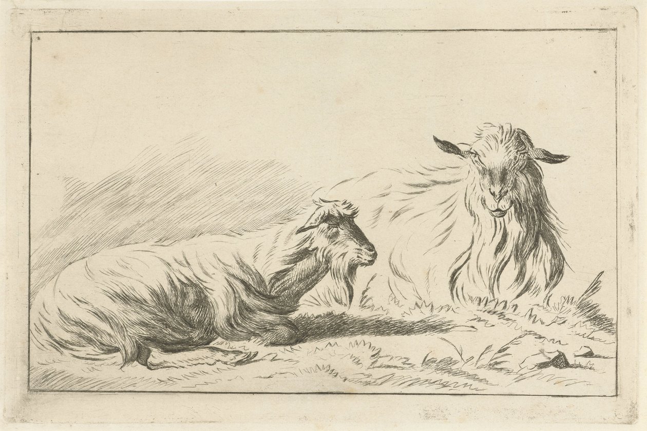 Deux chèvres couchées - Jacobus Cornelis Gaal
