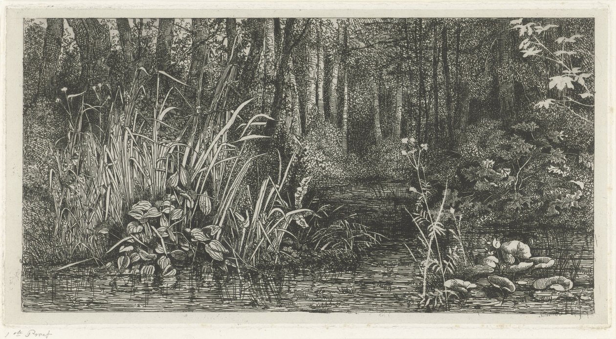 Ruisseau forestier - Jacobus Ludovicus Cornet