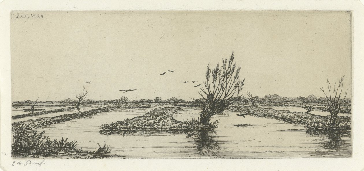Tourbière - Jacobus Ludovicus Cornet