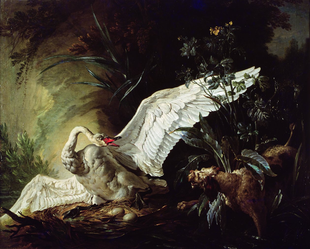 Un épagneul attaquant un cygne sur son nid, 1740 - Jacques Charles Oudry